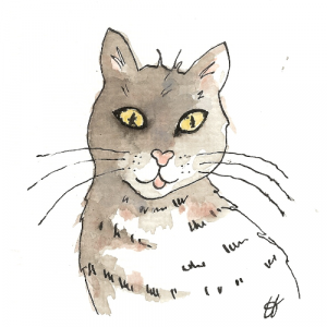 Watercolour, pen and ink cat, cat illustration
