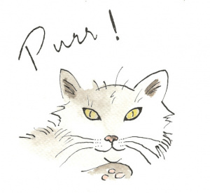 cat-purr