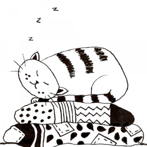 cat napping illustration