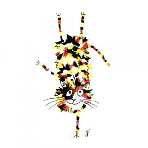 cat doing gymnastics illustration