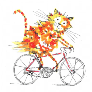 cat riding a bike illustration