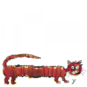 Long cat illustration