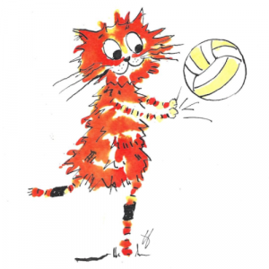 cat playing volleyball, cat illustration