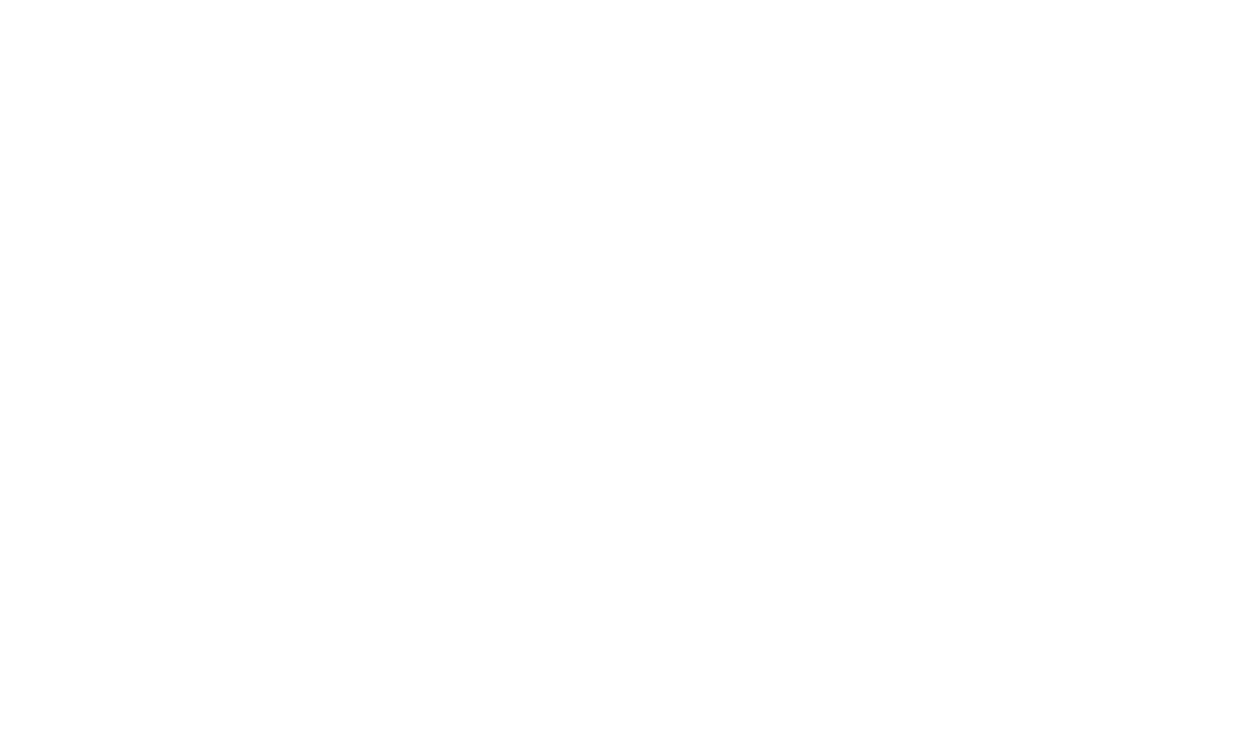 The Loonatic Cat