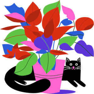 poinsettia-and-cat-illustration